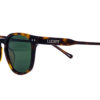 LE_IVAR - BROWN-2 Ivar - Brown